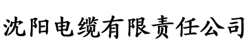 扣扣影视资源电缆厂logo